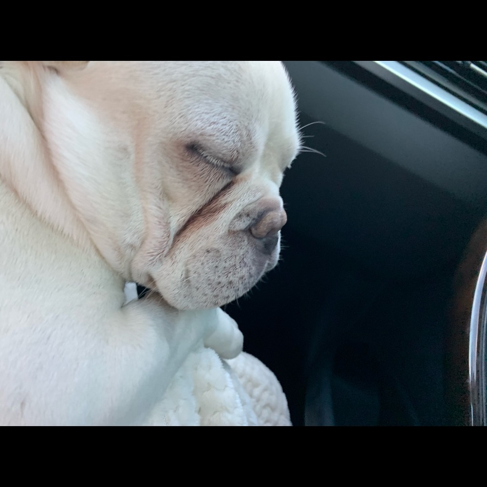 Meet your Posher, Jersey